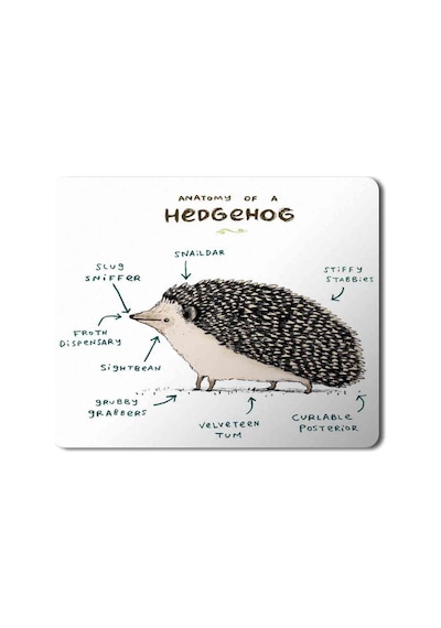 Kirpi Anatomisi Hedgehog Anatomy Mouse Pad Mousepad