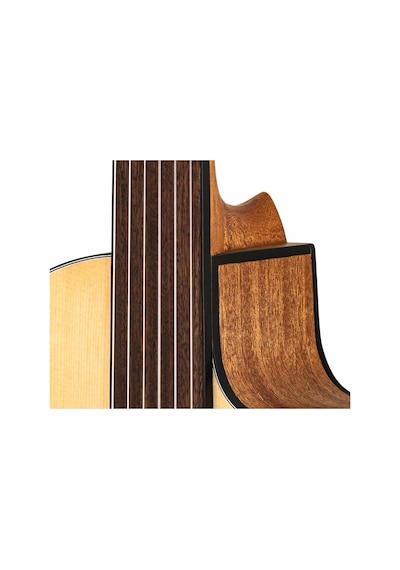 Valler VG250 CPDS Perdesiz Klasik Gitar