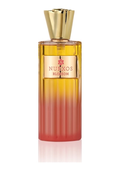 Nurxos 9842 Blossom Unisex Parfüm EDP 100 ML