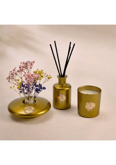 Orchid Noir 3 Parça Oda Koku Seti Haki Renksiz