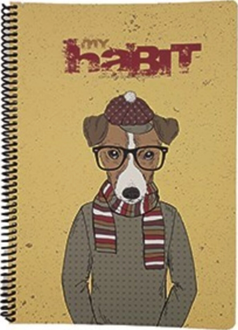 My Habıt 80yp Çizgili Defter Model 1 Karışık