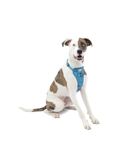Köpek Koşum Takımı Pet Walking Koşum Takımı No Pull Koşum Ön Klips Fonksiyonu Antrenman İçin Araç Emniy Çok Renkli