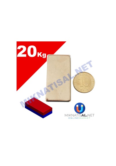 40X20X10Mm Neodyum Mıknatıs