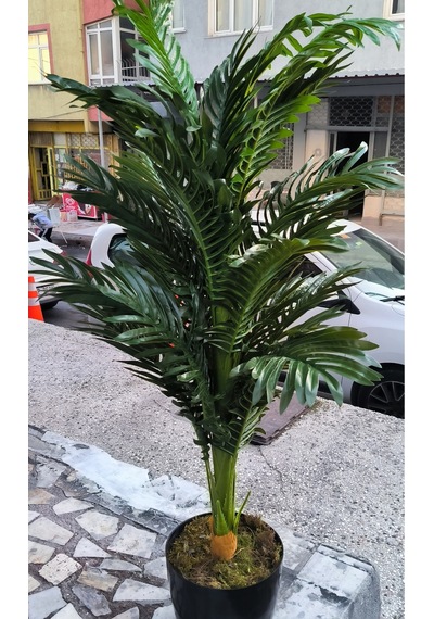 Rüzgar Yapay Çiçekçilik 120 Cm Areka Ağacı Yeşil