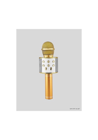 Spt-gld Kablosuz Mikrofon Usb Aux Destekli Parti Ve 04717 Eğlence İçin Renkli Renkli