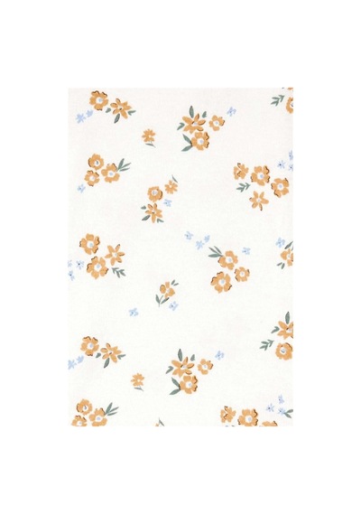 Carter's Kız Bebek Layette Kısa Kollu 5'li Body Set Krem 1t010810