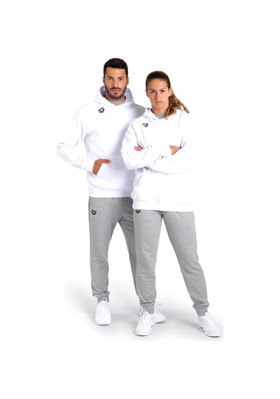 Arena Team Hooded Sweat Panel Erkek Beyaz Günlük Stil Sweatshirt 004904100 Beyaz