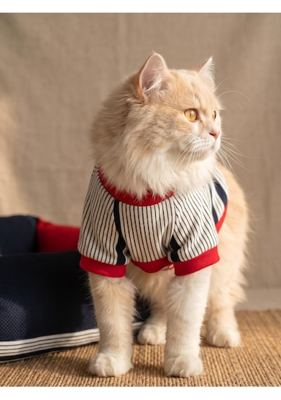 Bubbles Pastel Kedi Uyku Takımı Mini Yastıklı Şeker Renkli Yazlık Kedi Pijama Seti