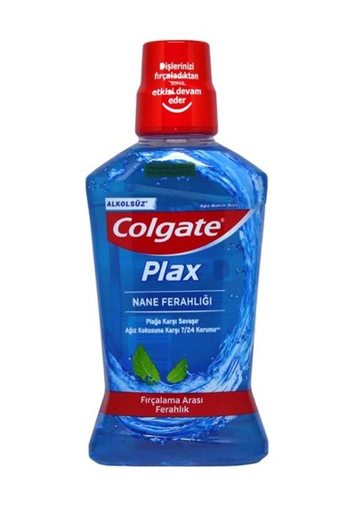 Nane Ferahlığı Ağız Suyu 500ml 1 Adet