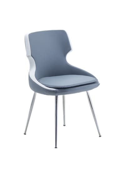 Bintaşmobilya Donna Salon Sandalyesi