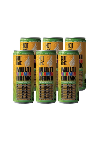 Hotline Multivitaminli İçecek 250 ml 6'lı
