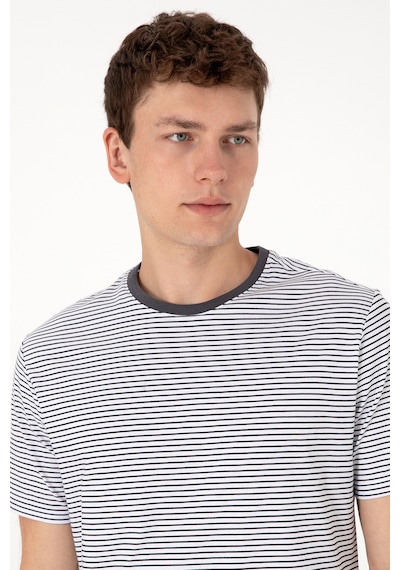 U.S. Polo Assn. Erkek Regular Fit Bisiklet Yaka Siyah Çizgili Tişört 50306898-VR046 U.S. Polo Assn. Erkek Regular Fit Bisiklet Yaka Siyah Çizgili Tişört 50306898-VR046
