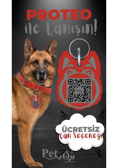 Petjoo 24.Proteo Gri-Kırmızı Qr'lı Köpek Künyesi