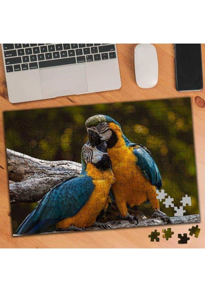 Afrika Papağanı Sevimli Kuş 240 Parça Puzzle Yapboz-75092