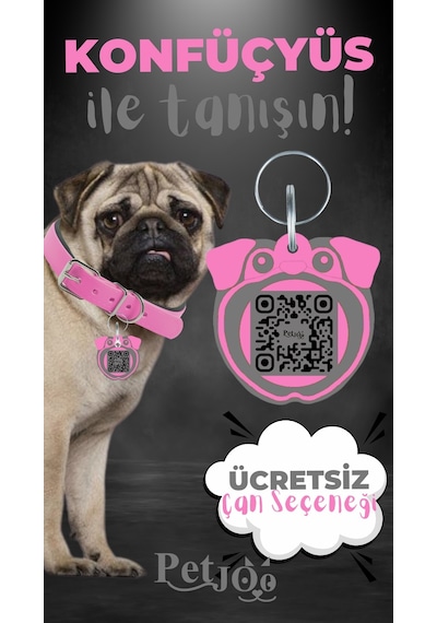 Petjoo 9.Konfüçyüs Gri-Pembe Qr'lı Köpek Künyesi