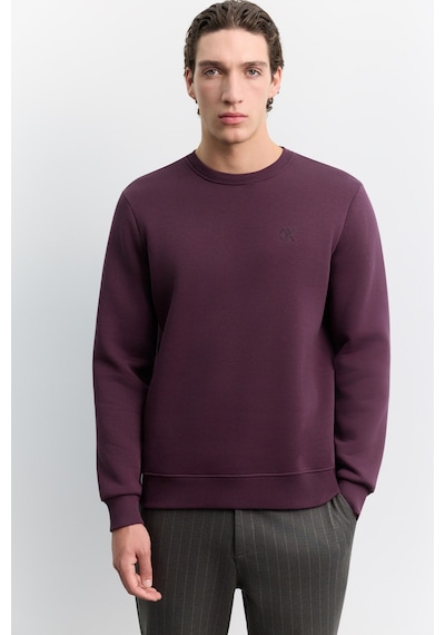 Avva Erkek Bordo Bisiklet Yaka 3 İplik Şardonlu -5 Dereceye Dayanıklı Regular Fit Sweatshirt A62y1291
