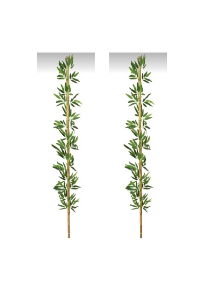 Rüzgar Yapay Çiçekçilik 2 Metre 2 Adet Bambu Yeşil