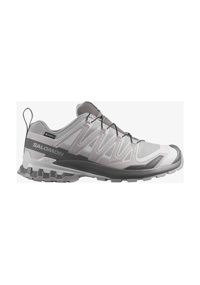 Salomon Xa Pro 3d V9 Gore-tex Erkek Outdoor Ayakkabı Alloy L49199100-24749 Renkli
