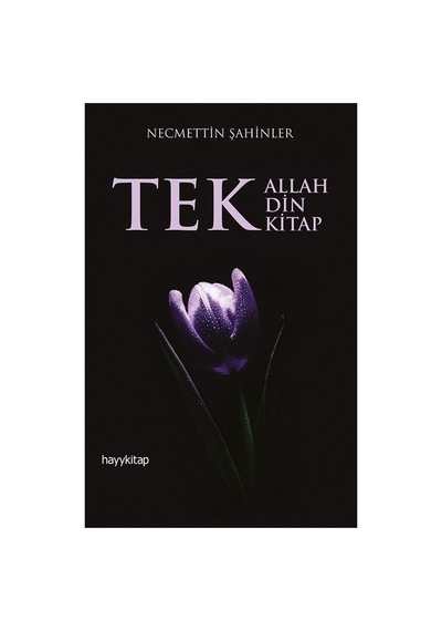 Tek Din Tek Kitap Üzerine Kapsamlı Düşünceler Ve Analizler