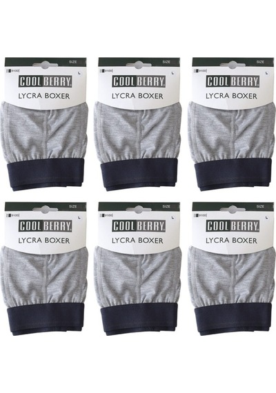 Cool Berry 6'Lı Pamuk Likra Boxer 9100