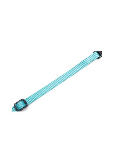 Hnrlıshp Beeztees Yavru Köpek Boyun Tasması, Çeşitli Renklerde, 17-25cm, 10mm Çok Renkli