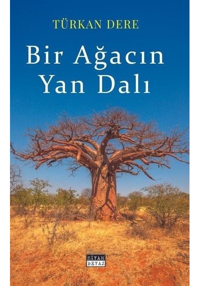 Bir Ağacın Yan Dalı / Türkan Dere
