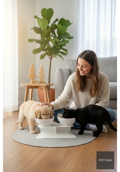 İki Hazneli Kedi Kafalı Beyaz Standlı Kedi Mama Ve Su Kabı 350 Ml