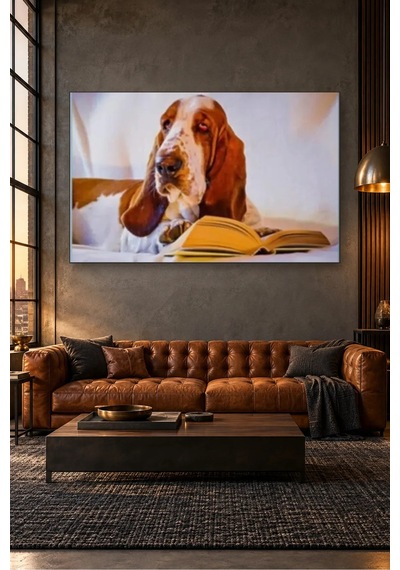 Fida Kitap Okuyan Basset Hound Canvas Tablo Çok Renkli