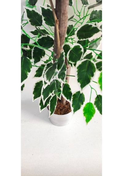 Rüzgar Yapay Çiçekçilik 90 Cm Ficus Ağacı Yeşil