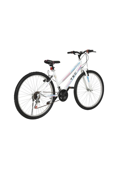 Belderia Tec Eros 24" Jant 21 Vites Dağ Bisikleti