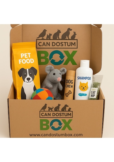 Candostumbox Evcil Hayvan Hediye Kutusu Kedi Köpek Tavşan Kuş V