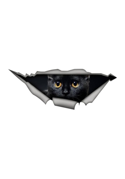 Siyah Sevimli Kedi Yavrusu Araba Sticker 18 Cm
