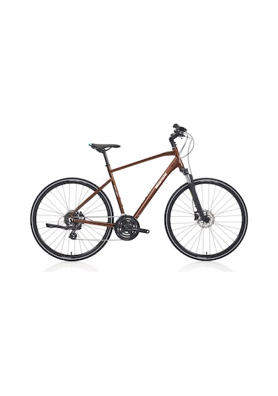 Bianchi Newtourer24 Kahverengi 47 Kadro
