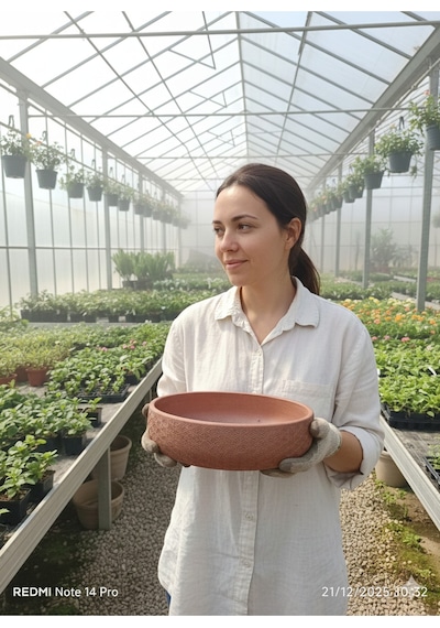 Dekoratif Aranjman Ve Orkide Saksısı 25 9-10 Cm
