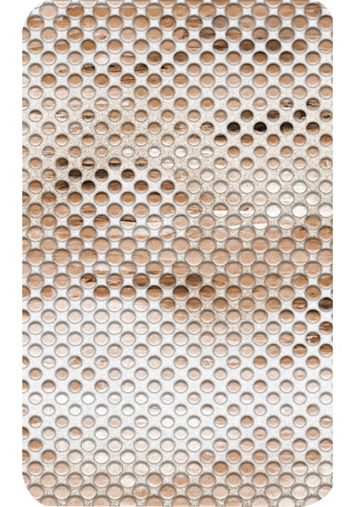 Rovigo Home Baskılı Kaymaz Taban 2 Li Banyo Paspas Takım Rvg5103-100X60-60X50 Çok Renkli