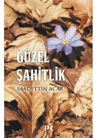 Güzel Şahitlik  - Saadettin Acar  - Profil Kitap