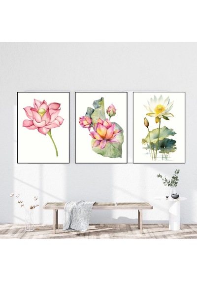 Suluboya Lotus Çiçeği 3'lü Japon Çiçek Çerçevesiz Poster 15x21