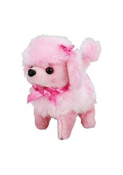 Sunman Sevimli Köpek Poodle