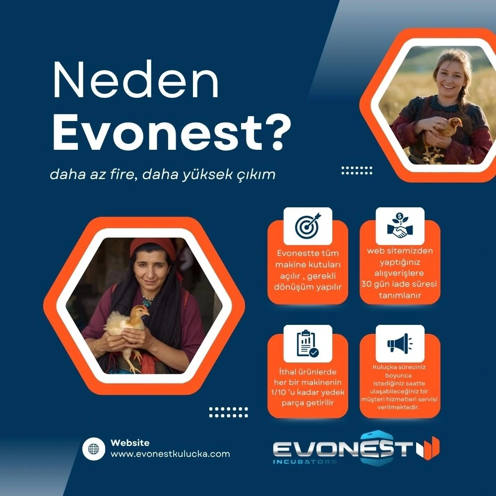 Kamera İlaveli Evonest 120 Yumurtalık Kuluçka Makinesi Otomatik Isı, Nem Ve Çevirme Kontrolü