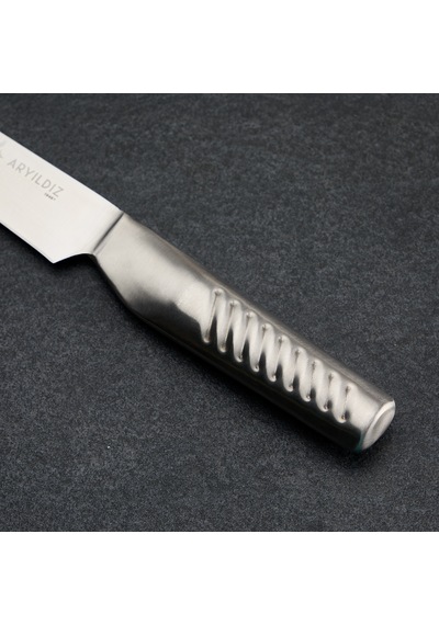 Aryıldız Durinox Doğrama Bıçak 14 Cm Renkli