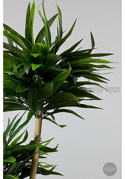 Yapay Bambu Ağacı 60cm Yoğun Yapraklı Spiral Saksıda Beyaz