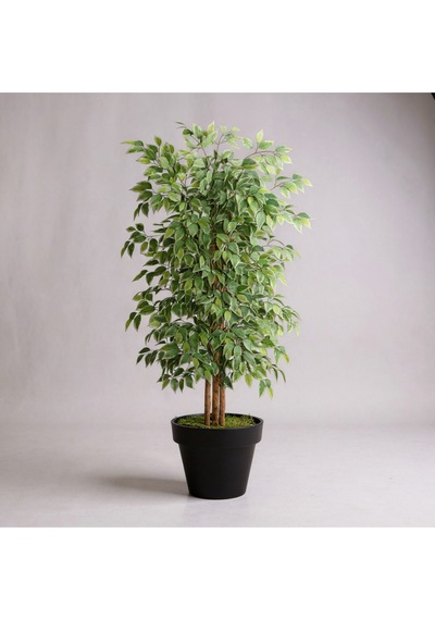 Yapay Ficus Ağaç 150 Cm Siyah Plastik Saksı Yeşil