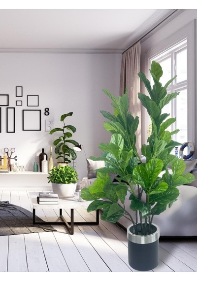 Yapay Ağaç Keman Yapraklı Kavuçuk Yeşil Salon Bitkisi Siyah Gümüş Galvaniz Saksıda 140cm