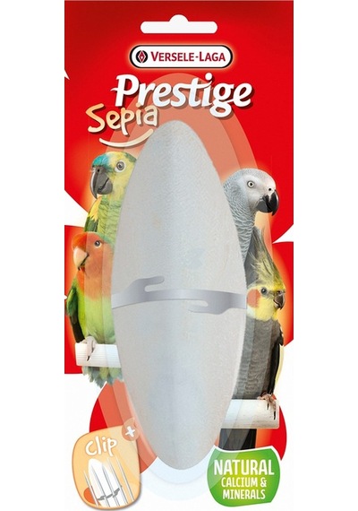 Verselelaga - 680 - Sepıa Mıneral16cm Mürekkep Balığı Kemık X - Cadde101 - 2 Adet