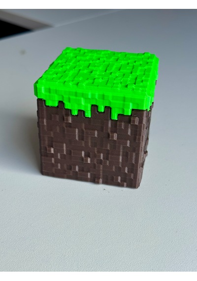 Minecraft Çim Bloğu Karakter Kutusu