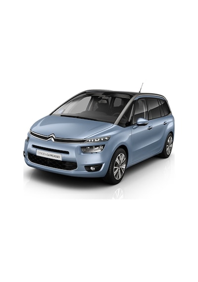 C4 Grand Picasso 3D Paspas Havuzlu Siyah 2013-2020 Arasırizline