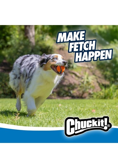 Ayrex Chuckit Ultra Ball Köpek Oyun Topu Medium