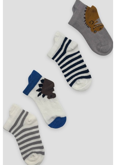 Defne Baby Erkek Bebek Ve Çocuk Karışık Desenli Premium Pamuklu Patik Çorap Seti Çok Renkli