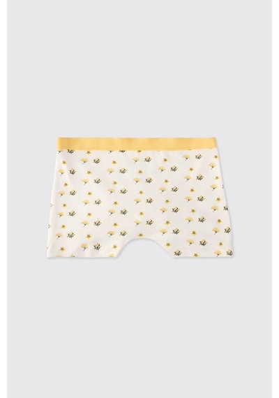 Panço Kız Çocuk 3'lü Boxer Seti Renkli 2522GK14008