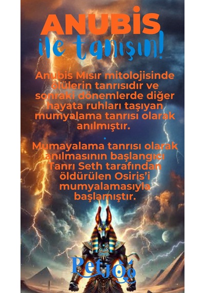 Petjoo 30.Anubis Mavi-Turuncu Qr'lı Köpek Künyesi